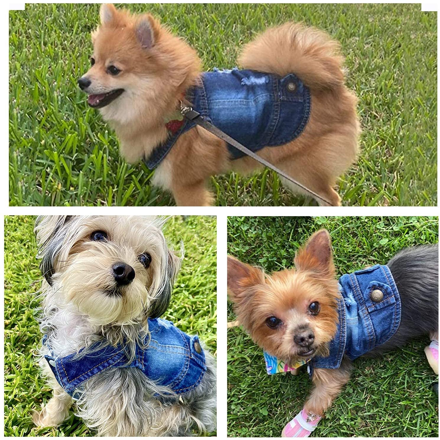 Rooroopet Pet Clothes,Dog Jeans Jacket,Cool Blue Denim Coat,Small Medium Dogs Cats, Lapel Vests Cats Classic Puppy Blue Vintage,Machine Washed Clothes Animals & Pet Supplies > Pet Supplies > Dog Supplies > Dog Apparel Rooroopet   