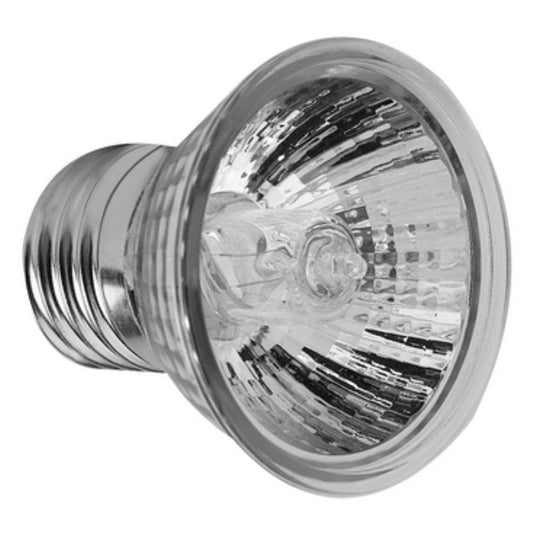 25/50/75W UVA UVB Reptile Heating Lamp Bulb Amphibians Temperature Controller Low-Intensity Light  Alvena   