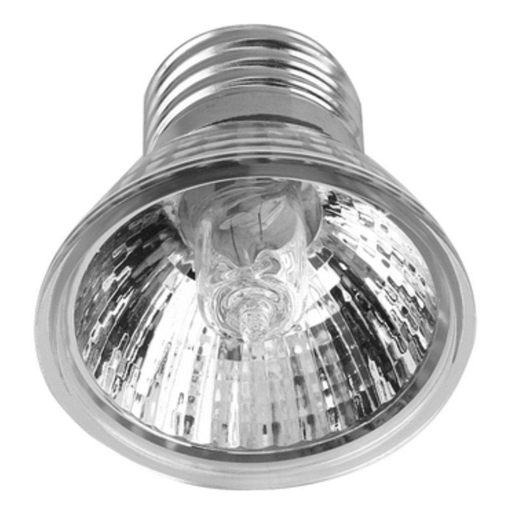 25/50/75W UVA UVB Reptile Heating Lamp Bulb Amphibians Temperature Controller Low-Intensity Light
