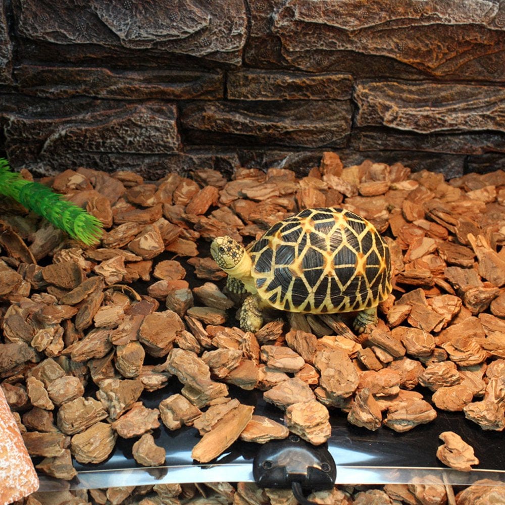 25.6"X11" Reptile Heating Mat for Turtle Snake Lizard for Frog Spider Amphibians Terrarium Reptile Habitat Supplies Animals & Pet Supplies > Pet Supplies > Reptile & Amphibian Supplies > Reptile & Amphibian Substrates TENSUNCH   