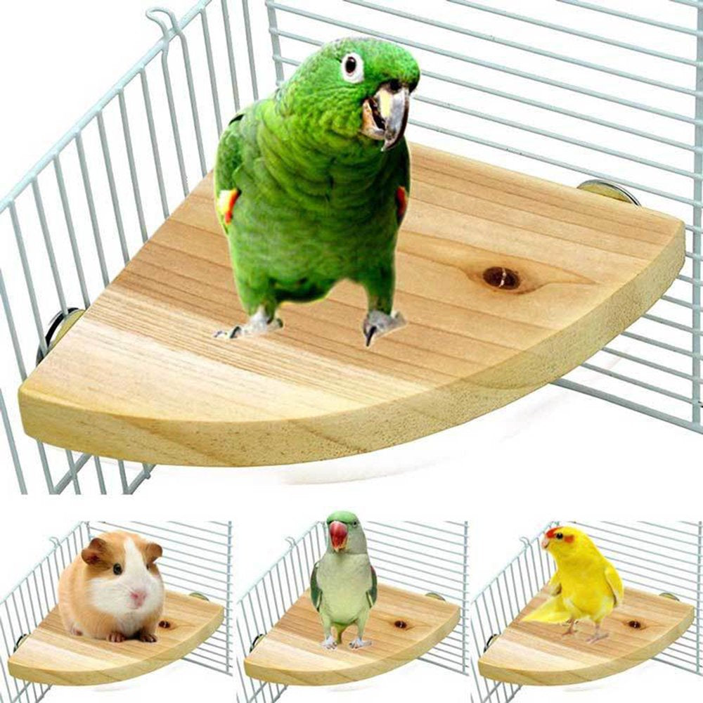 SPRING PARK Wood Perch Bird Platform Parrot Stand Playground Cage Accessories for Small Animals Rat Hamster Mouse Lovebird Finches Conure Budgie Exercise Toy Animals & Pet Supplies > Pet Supplies > Bird Supplies > Bird Cage Accessories SPRING PARK   