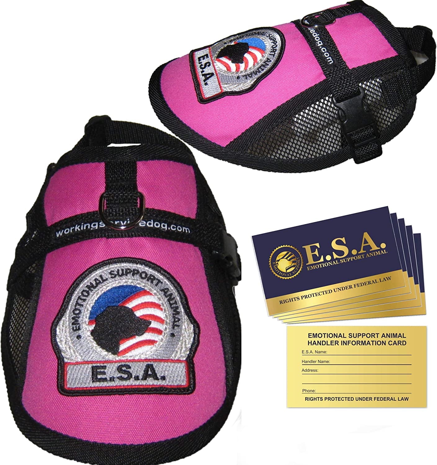 Premium Emotional Support Dog Vest | ESA Dog Vest | Mesh Cooling Panel | Emotional Support Dog Harness | Includes 5 Federal Law ESA Handout Cards (9" - 13" Girth, Red) Animals & Pet Supplies > Pet Supplies > Dog Supplies > Dog Apparel Working Service Dog Raspberry Fits 23" - 27" Girth 