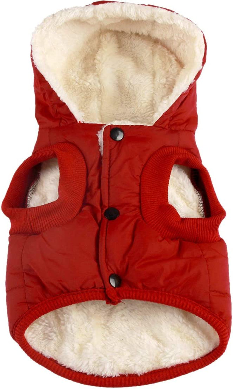 Vecomfy Fleece Lining Extra Warm Dog Hoodie in Winter,Small Dog Jacket Puppy Coats with Hooded,Red S Animals & Pet Supplies > Pet Supplies > Dog Supplies > Dog Apparel Yingxu Red Medium (Pack of 1) 