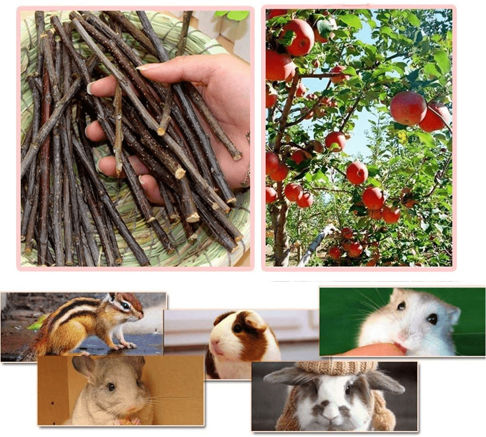 250G and 500G Natural Apple Sticks Small Animals Molar Wood Treats Toys Chinchilla Guinea Pig Hamster Rabbit Gerbil Parrot Bunny and Small Animals Chew Stick Toys Treats Animals & Pet Supplies > Pet Supplies > Small Animal Supplies > Small Animal Treats Bojafa   