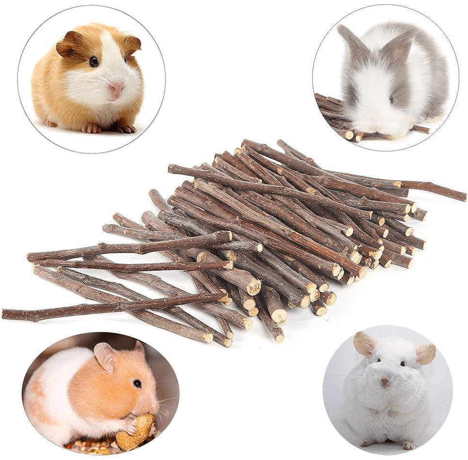 250G and 500G Natural Apple Sticks Small Animals Molar Wood Treats Toys Chinchilla Guinea Pig Hamster Rabbit Gerbil Parrot Bunny and Small Animals Chew Stick Toys Treats Animals & Pet Supplies > Pet Supplies > Small Animal Supplies > Small Animal Treats Bojafa   