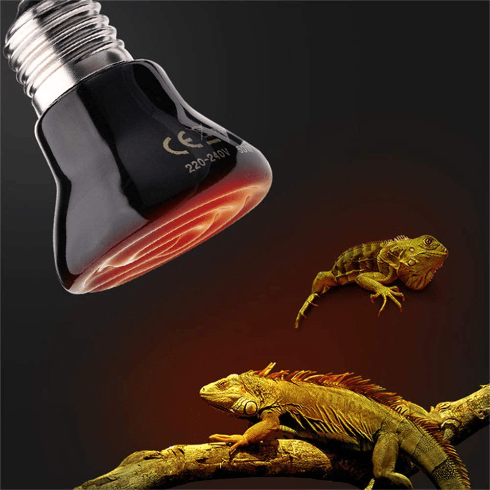 250W Reptile Heat Lamp Pet Infrared Ceramic Heater Emitter Appliances Lamp