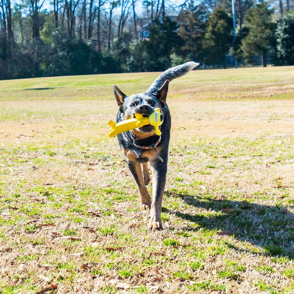 Multipet Smiling Dog Loofa Pals Latex Plush Dog Toy, Banana Shaped Animals & Pet Supplies > Pet Supplies > Dog Supplies > Dog Toys Multipet   