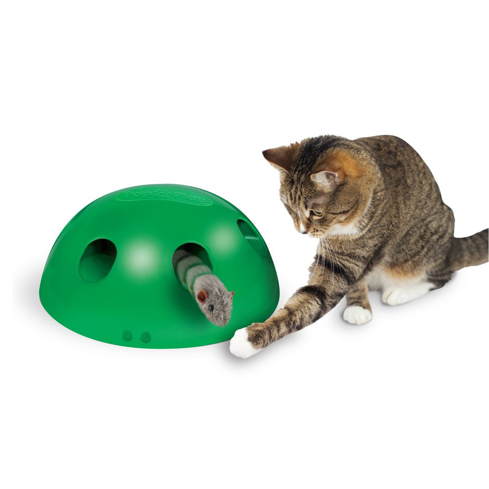 Pets Know Best Pop N' Play Peek-A-Boo Cat Toy, Green Animals & Pet Supplies > Pet Supplies > Cat Supplies > Cat Toys Allstar Products Group   