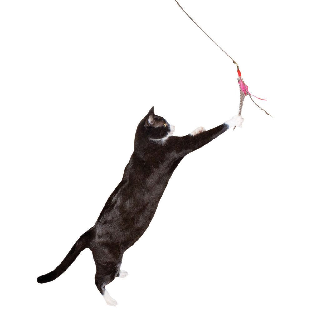 Da Bird Cat N around Wand Cat Toy Animals & Pet Supplies > Pet Supplies > Cat Supplies > Cat Toys Go Cat   