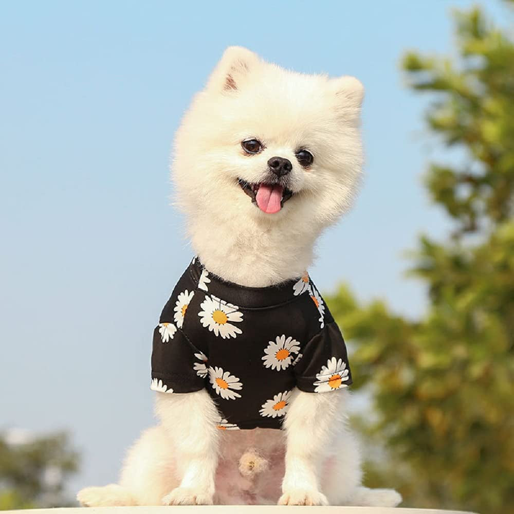 Xs Dog Clothes for Small Dogs Girl Sebaoyu Pet Puppy Shirts Chiuahaha Female Clothes Outfit Summer Fall Dog Costume Doggie Cat Clothing for French Bulldog Yorkie Breed (XS) Animals & Pet Supplies > Pet Supplies > Dog Supplies > Dog Apparel Sebaoyu   