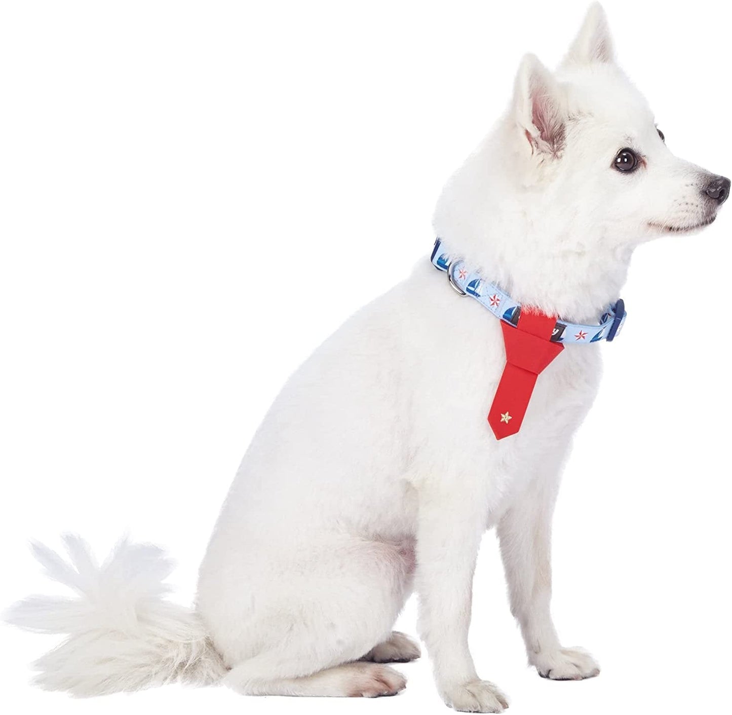 Blueberry Pet 4 Patterns Blue Hue Scottish Plaid Style Adjustable Tie Dog Collar, Small, Neck 12"-16" Animals & Pet Supplies > Pet Supplies > Dog Supplies > Dog Apparel Blueberry Pet Stylish Red Tie + Collar Medium 