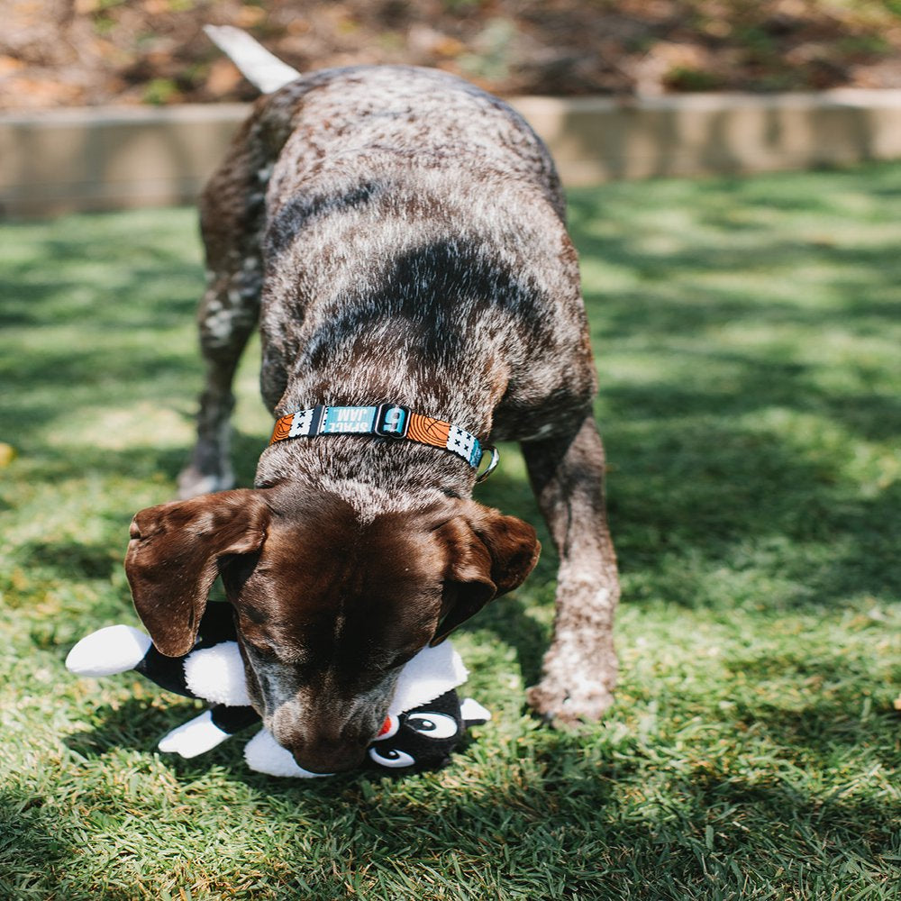 Buckle-Down Dog Toy, Looney Tunes, Plush Squeaker Sylvester the Cat Full Body Animals & Pet Supplies > Pet Supplies > Dog Supplies > Dog Toys Buckle-Down   