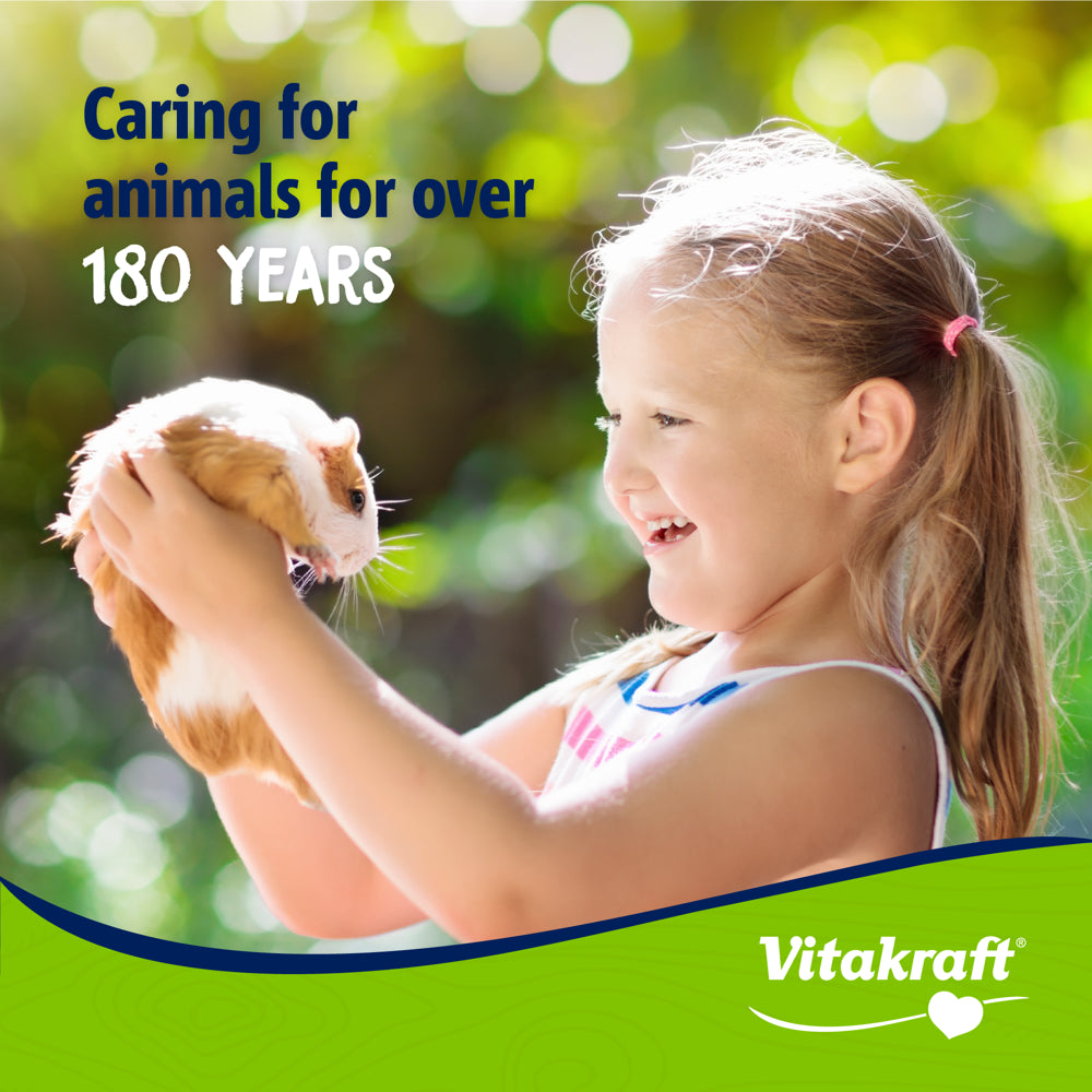 Vitakraft Mini Pops Treat for Small Animals - 100% Real Corn Cob - Supports Healthy Teeth - 6 Oz