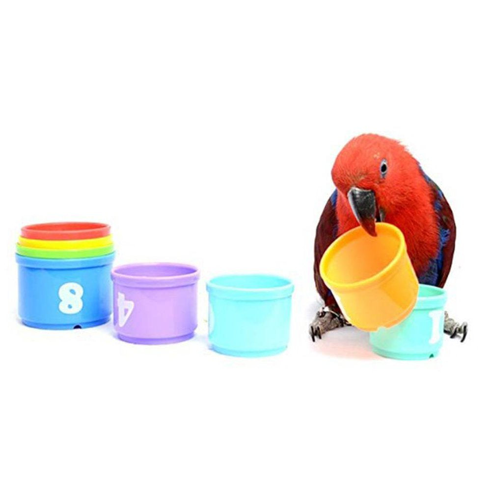 Colorful Cup Toy Bird Training Toy Parrot Intelligence Training Toy Animals & Pet Supplies > Pet Supplies > Bird Supplies > Bird Gyms & Playstands HOMYL   