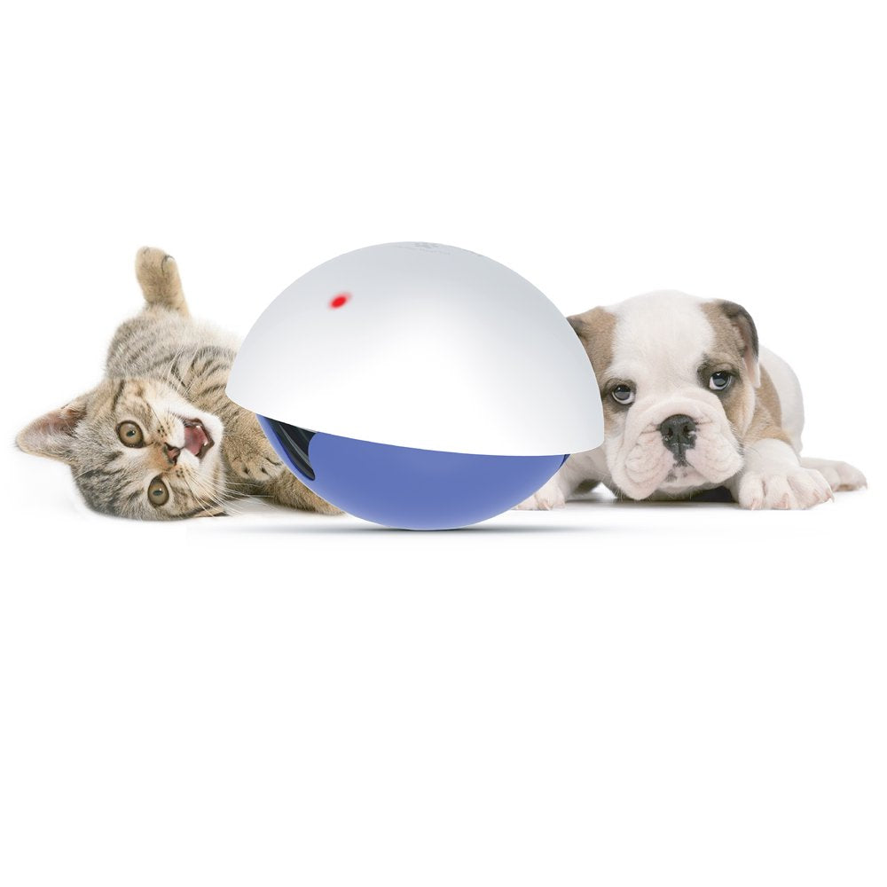 Laser Cat, Wobbling Laser Treat Toy for Cats Animals & Pet Supplies > Pet Supplies > Cat Supplies > Cat Toys L'chic   