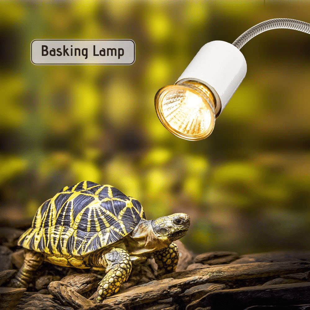 25W- 360 Degree Rotatable Heating Lamp, Adjustable Habitat Basking Heating Lamp, Heating Lamps and Holder Set with Clip and Dimmable Switch, for Reptiles Aquarium Turtle, Lizard, Snake