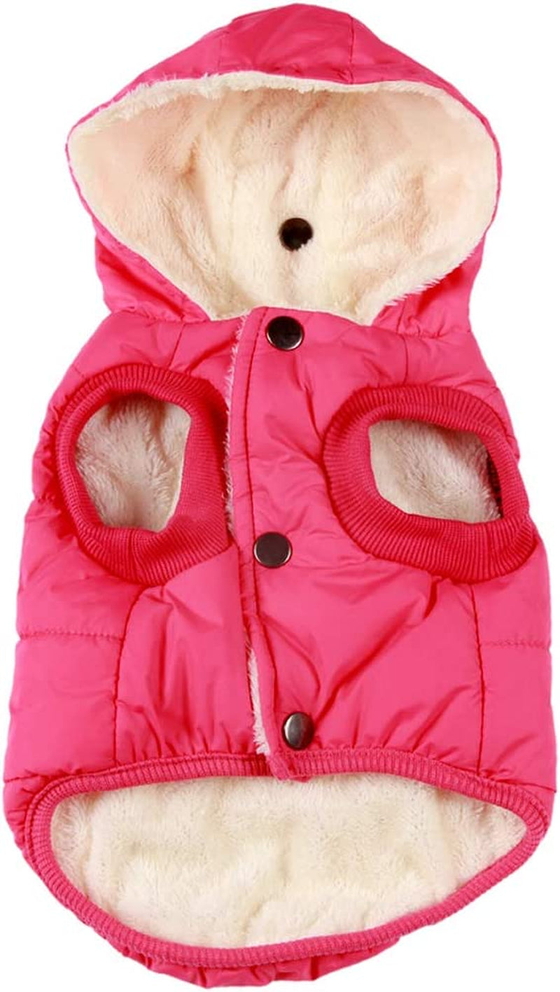 Vecomfy Fleece Lining Extra Warm Dog Hoodie in Winter,Small Dog Jacket Puppy Coats with Hooded,Red S Animals & Pet Supplies > Pet Supplies > Dog Supplies > Dog Apparel Yingxu Pink X-Small (Pack of 1) 