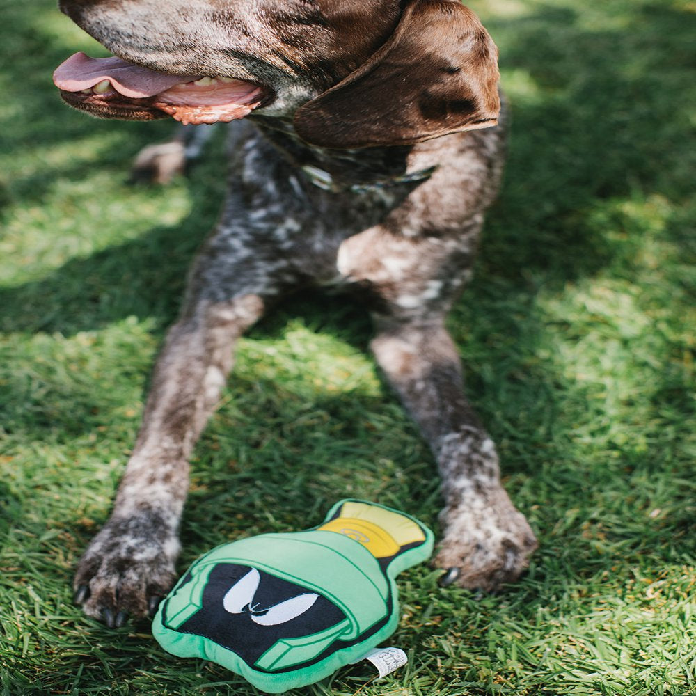 Buckle-Down Dog Toy, Looney Tunes, Plush Squeaker Marvin the Martian Face Animals & Pet Supplies > Pet Supplies > Dog Supplies > Dog Toys Buckle-Down   