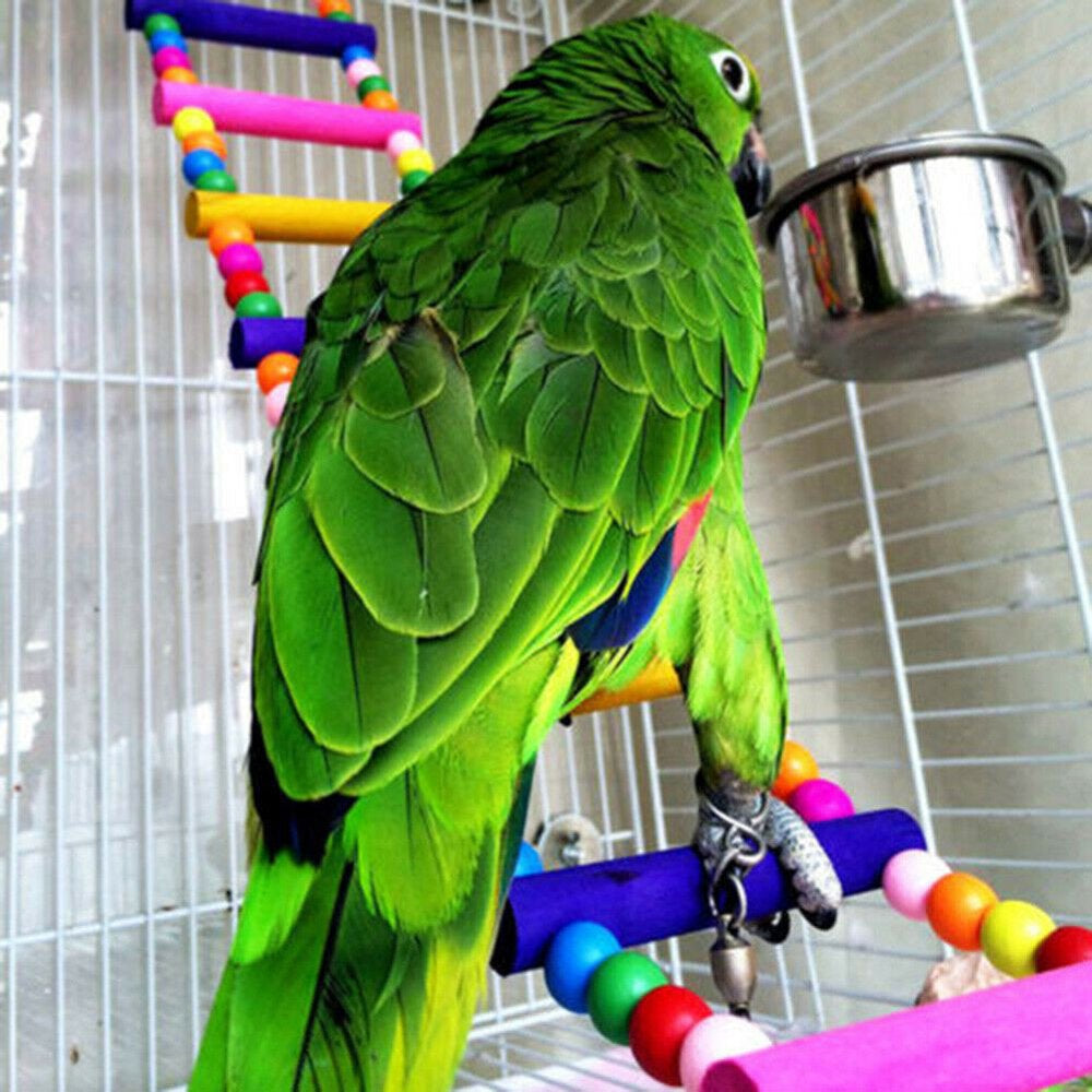 Walbest Multicolor Pet Ladder Bird Climbing Bite Toy for Bird Parrot Macaw African Greys Budgies Cockatiels Parakeet Hamster Rat Crawling Rainbow Bridge Wooden Cage Funny Perch Trainning Swing Toy Animals & Pet Supplies > Pet Supplies > Bird Supplies > Bird Toys Walbest   