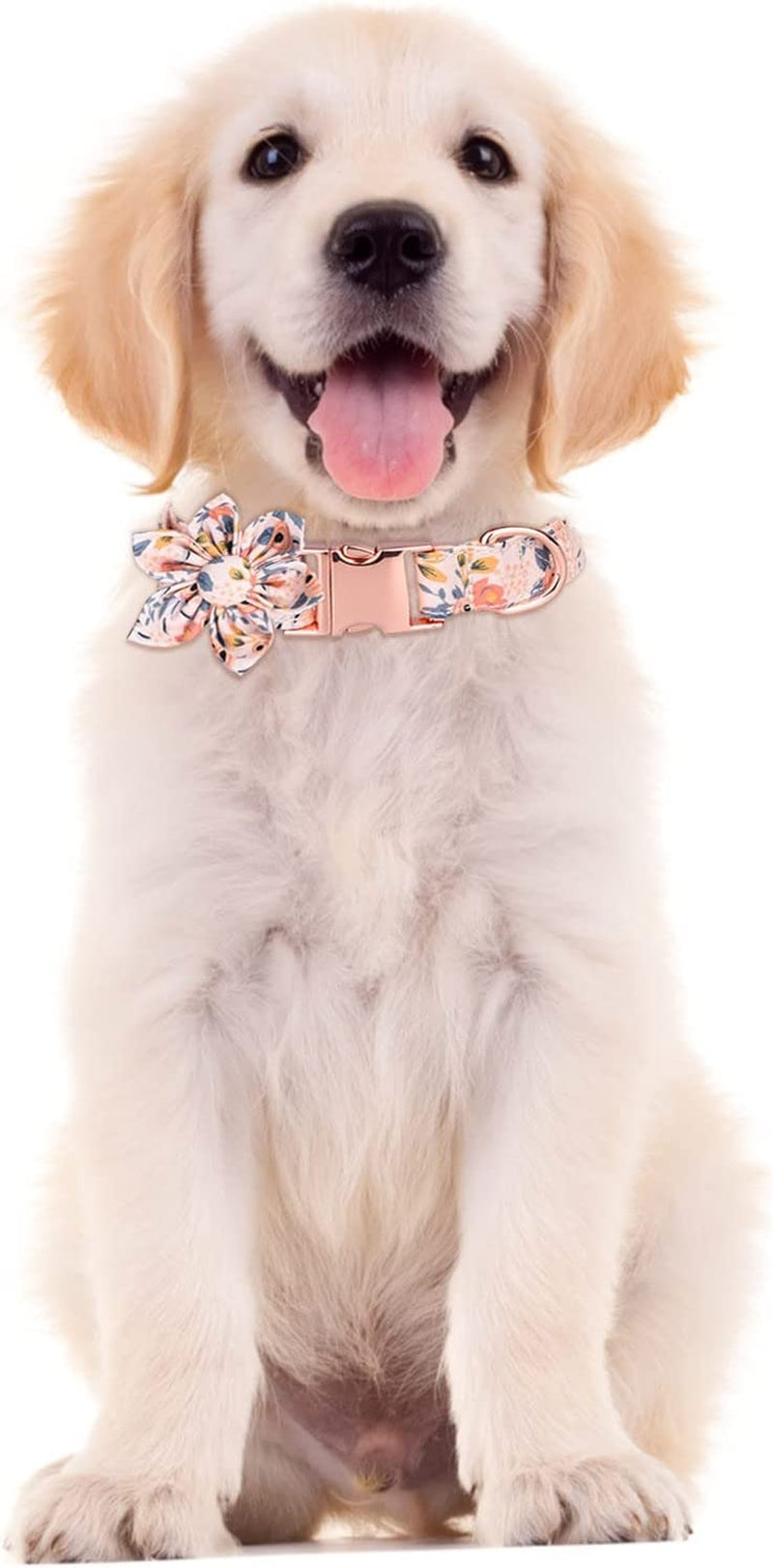 Bow Tie for Cats Breakaway 3 Adjustable Sizes Personalized Dog Collars with Flower Tie Cotton Girls Dog Collar with Metal Buckle Puppy Collars Animals & Pet Supplies > Pet Supplies > Dog Supplies > Dog Apparel HonpraD   