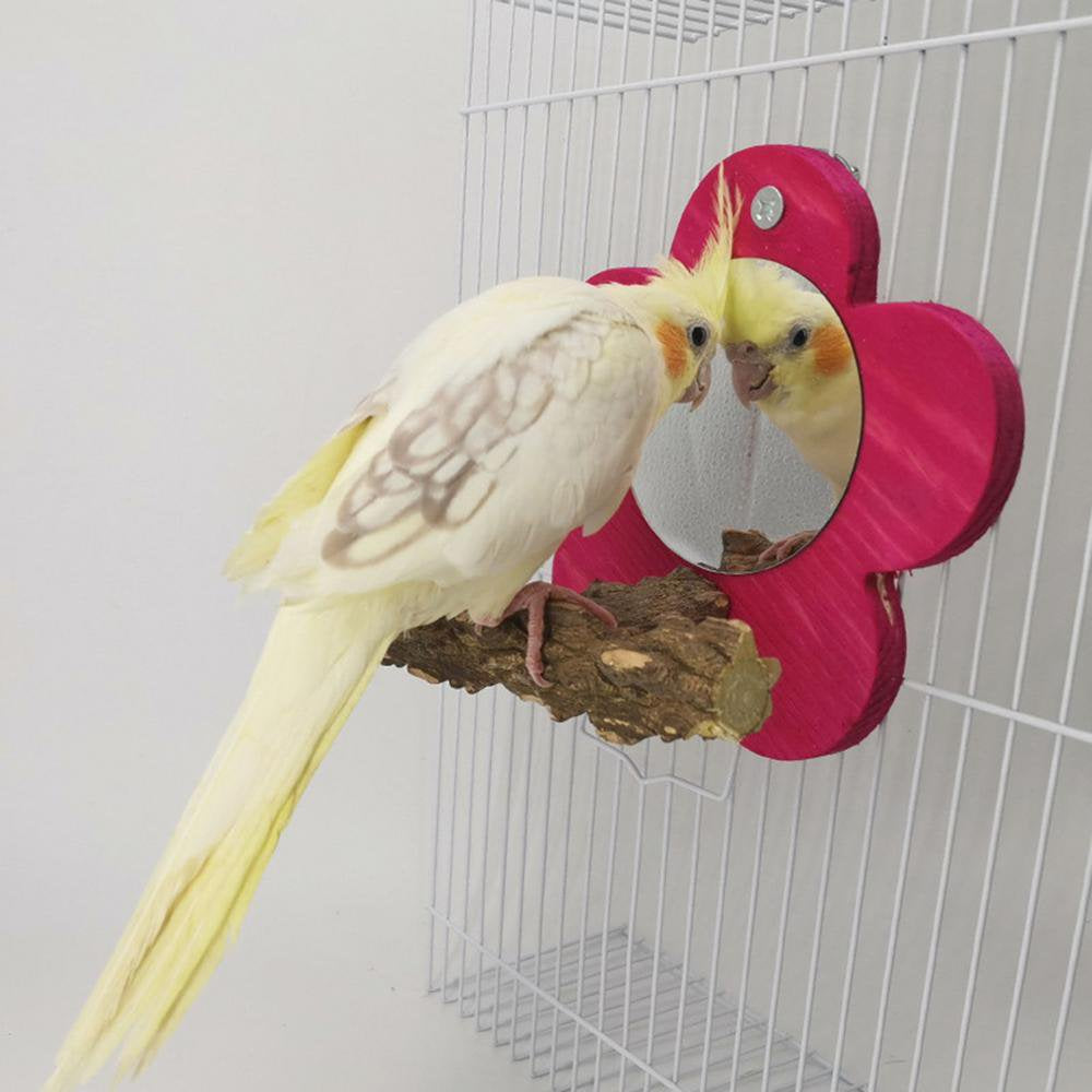 Gecorid Flower Bird Mirror with Perch Parrot Wood Perch Stand Birdcage Fun Stands for Small Parrot Canaries Parakeet Cockatiel Lovebird Exceptional Animals & Pet Supplies > Pet Supplies > Bird Supplies > Bird Cages & Stands Gecorid   