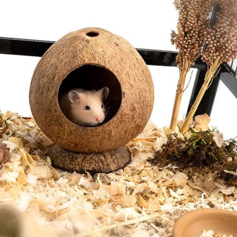 Visland Coconut Hut Hamster House Bed, for Gerbils Mice Small Animal Cage Habitat Decor,Bite-Resistant, Pet Hiding House Animals & Pet Supplies > Pet Supplies > Small Animal Supplies > Small Animal Habitats & Cages Visland   