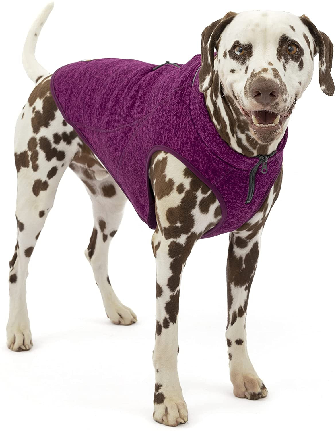 Kurgo K9 Core Dog Sweater | Year-Round Sweater for Dogs | Dog Fleece Vest | Knit Fleece Pet Jacket | Fleece Lining | Lightweight | Zipper Opening for Harness | Adjustable Neck | Black | Medium Animals & Pet Supplies > Pet Supplies > Dog Supplies > Dog Apparel Radio Systems Corporation Heather Violet Extra Large 