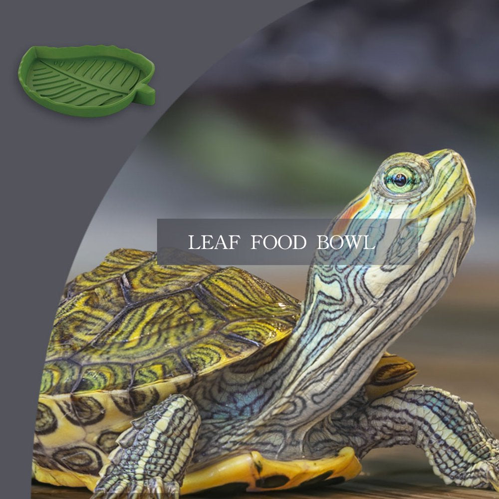 Tureclos Reptile Water Food Feeder Leaf-Shape Safety Smooth Surface Crawler Bowl Multi-Functional Feeding Basin Amphibians Pet Supplies Animals & Pet Supplies > Pet Supplies > Reptile & Amphibian Supplies > Reptile & Amphibian Food TureClos   