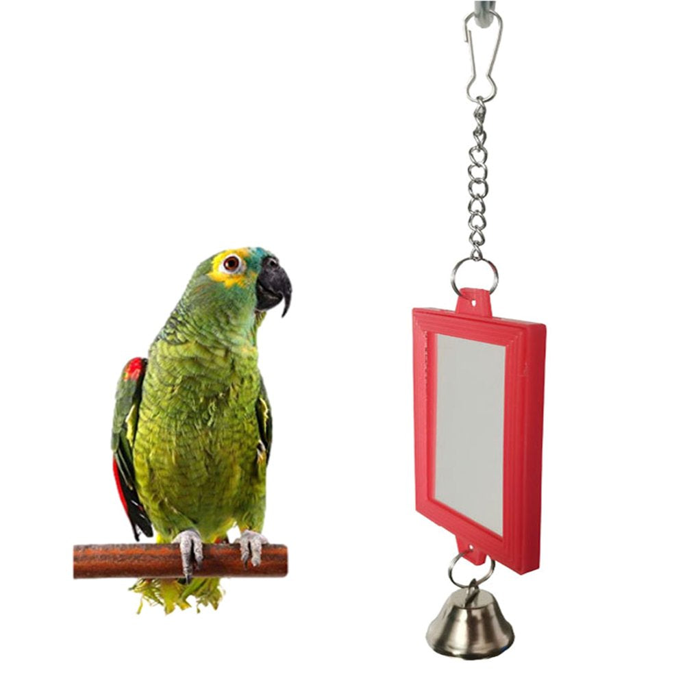 BOOYOU Bird Mirrors with Metal Bells Cockatiel Parakeet Mirror for Cage Bird Toy Swing Cage Accessories for Parrot Conure Animals & Pet Supplies > Pet Supplies > Bird Supplies > Bird Cage Accessories BOOYOU   