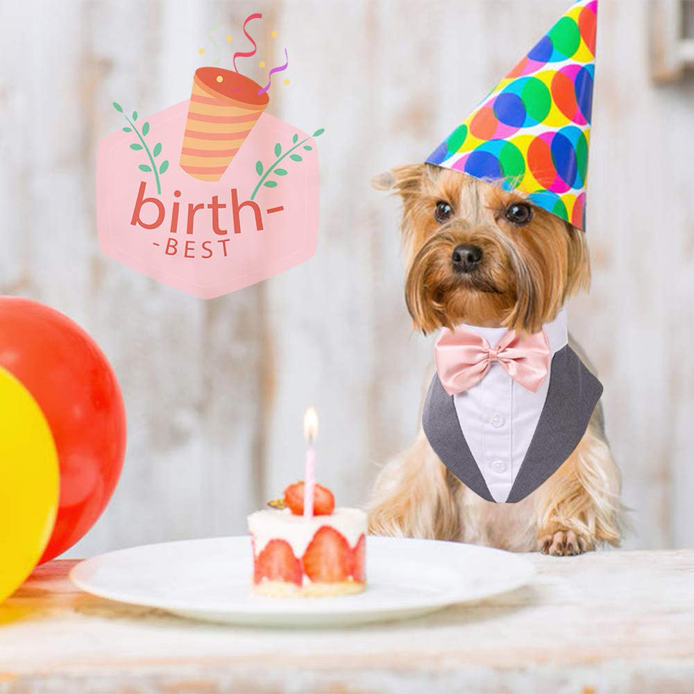 QBLEEV Dog Formal Tuxedo Suit for Medium Large Dogs，For Costume Wedding Party Outfit with Detachable Collar，Elegant Dog Apparel Bowtie Shirt and Bandana Set for Dress-Up Cosplay Holiday Wear Animals & Pet Supplies > Pet Supplies > Dog Supplies > Dog Apparel QBLEEV   