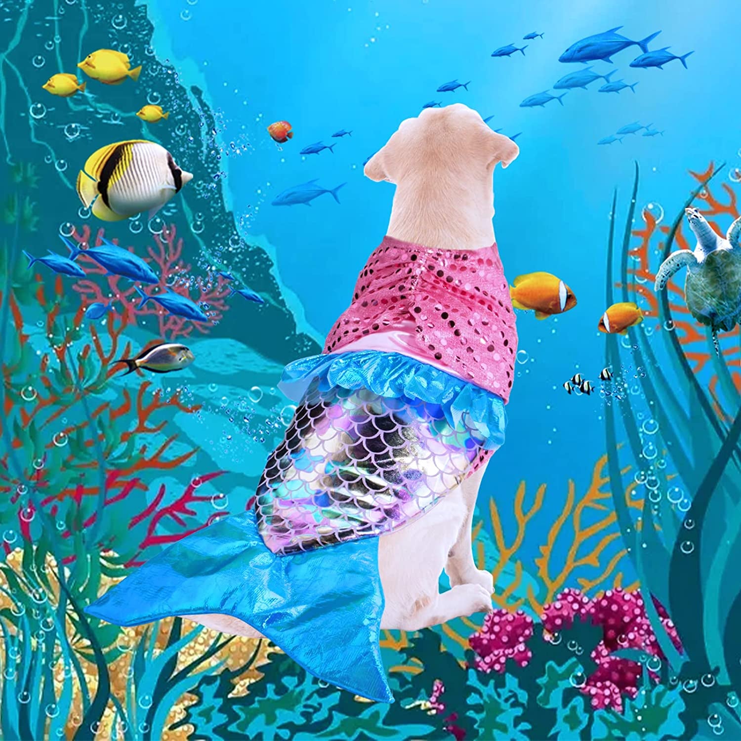 Mermaid Dog Costume Halloween Costumes for Dogs, Funny Dog