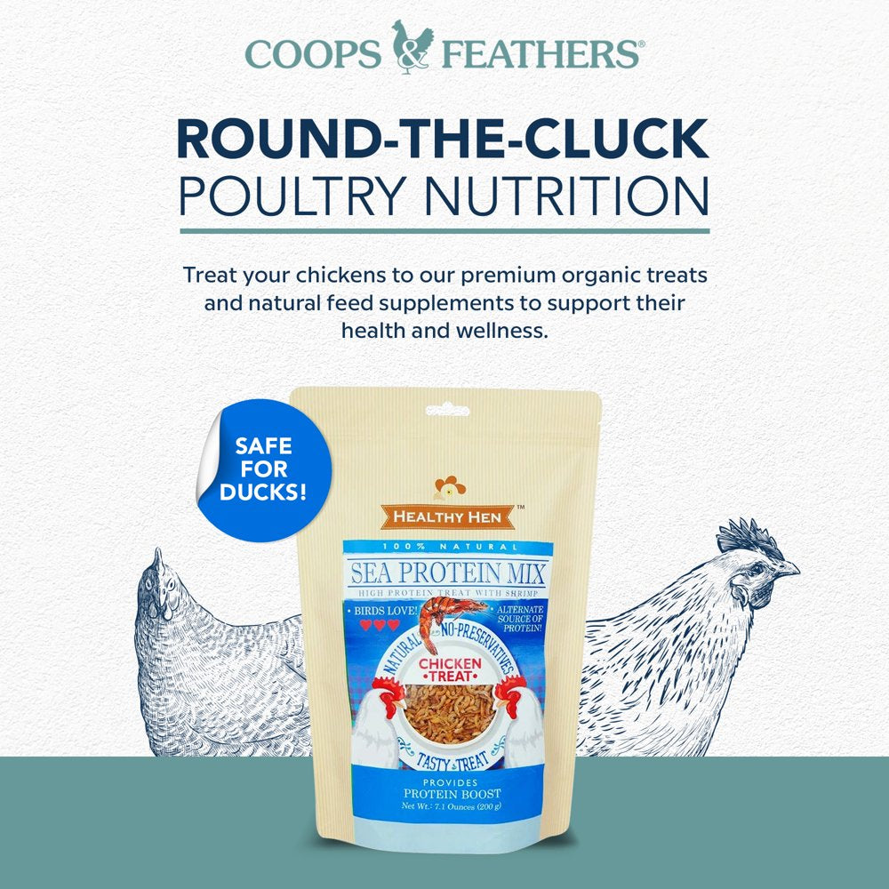 Healthy Hen™ Sea Protein Mix - Shrimp: Animal Protein & Carotene- Poultry Treat 7 Ounce Animals & Pet Supplies > Pet Supplies > Bird Supplies > Bird Treats Coops & Feathers   
