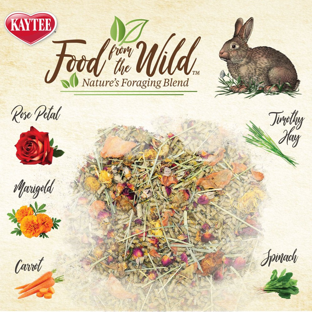 Kaytee Food from the Wild Rabbit Animals & Pet Supplies > Pet Supplies > Small Animal Supplies > Small Animal Food Central Garden and Pet   