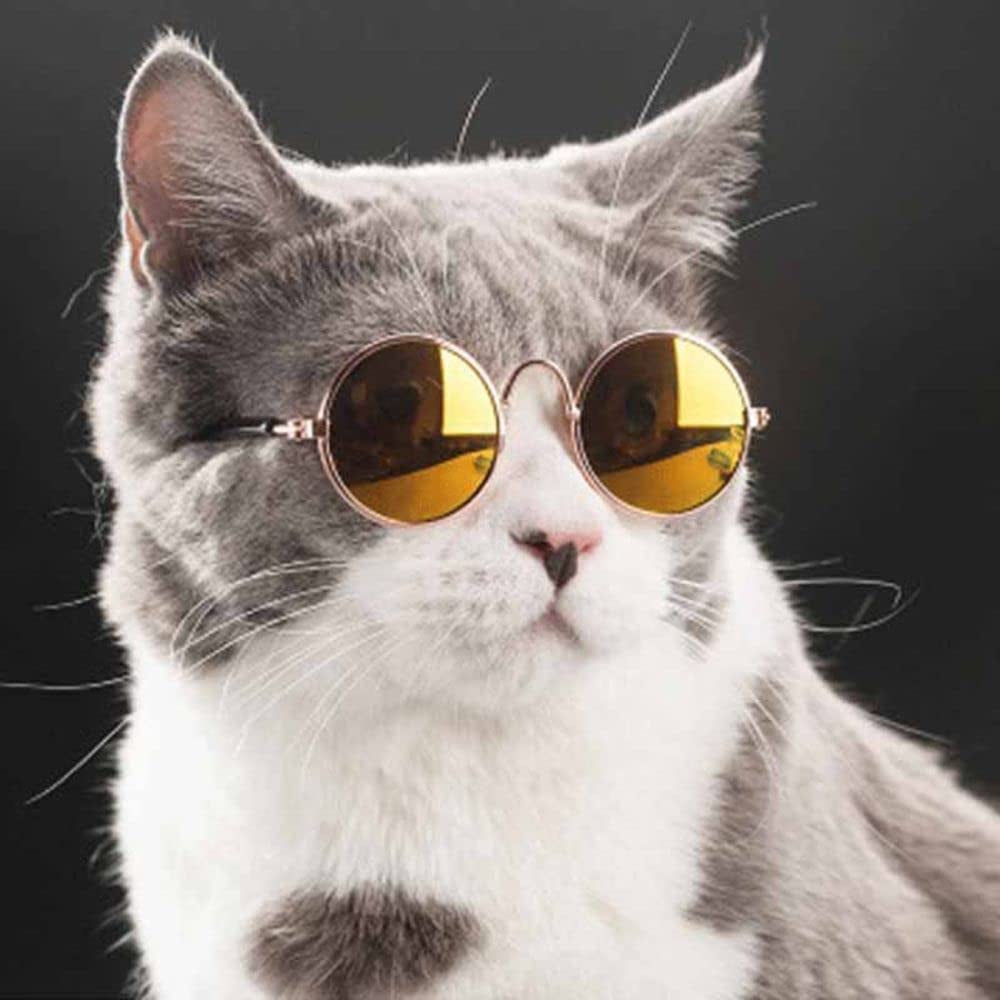 Cat Sunglasses round Metal Dog Classic Sunglasses Pet Cute and Funny Sunglasses Dog Cat Cosplay Party Costume Photo Props(Metallic Gold) Animals & Pet Supplies > Pet Supplies > Dog Supplies > Dog Apparel generic   