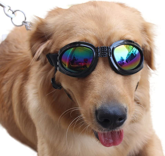 Pet Glasses Dog Sunglasses Dog Glasses Golden Retriever Samoyed Sunglasses Goggles Big Dog Sunglasses (Black) Animals & Pet Supplies > Pet Supplies > Dog Supplies > Dog Apparel NACOCO Black  