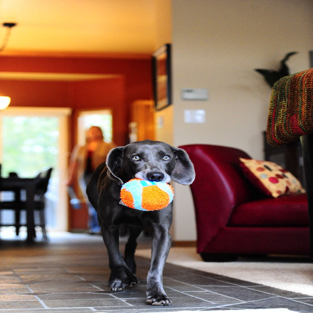 Chuckit! Indoor Plush Ball Dog Toy Animals & Pet Supplies > Pet Supplies > Dog Supplies > Dog Toys Doskocil Manufacturing Co Inc   