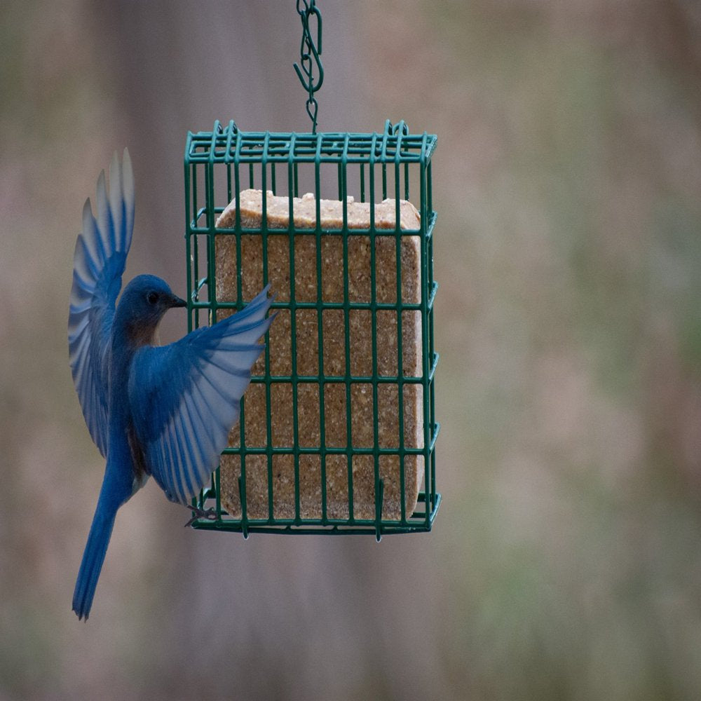 C&S High Energy Delight No Melt Suet Dough, 11 Oz Cake, Wild Bird Feed Animals & Pet Supplies > Pet Supplies > Bird Supplies > Bird Food Central Garden and Pet   