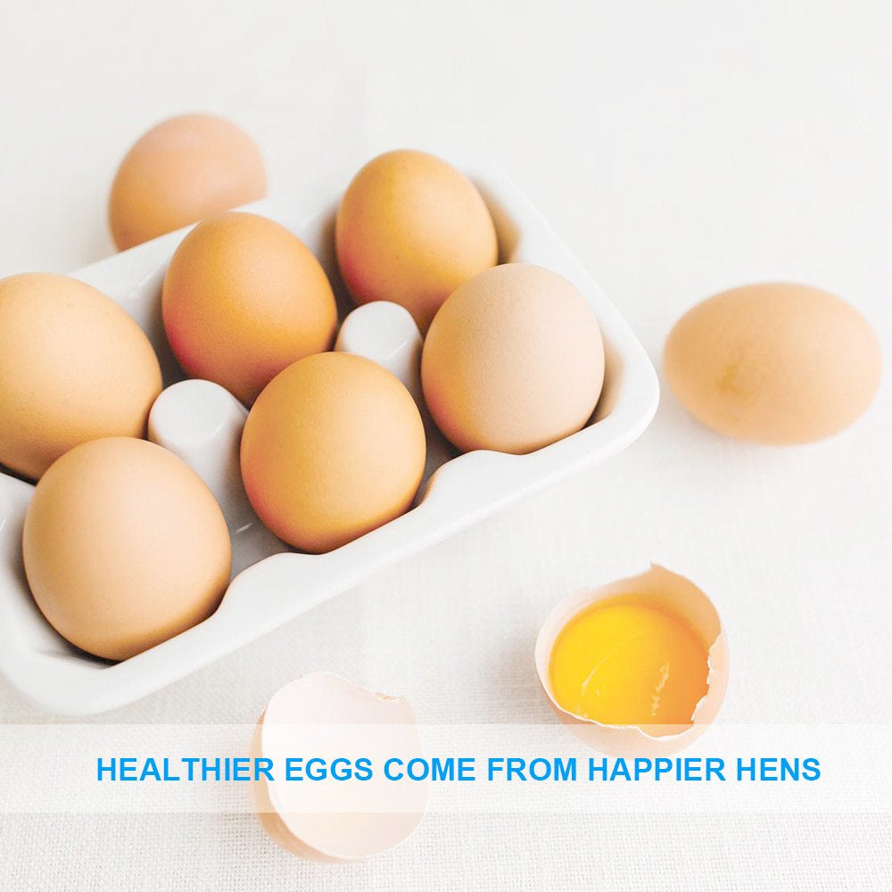 LUCKYQ Dried Mealworms 11Lb,High-Protein Bulk Mealworms for Birds, Chickens, Turtles, Fish, Hamsters, and Hedgehogs, Non-Gmo and Chemical Free, All Natural Animal Feed Animals & Pet Supplies > Pet Supplies > Small Animal Supplies > Small Animal Food LUCKYQ   