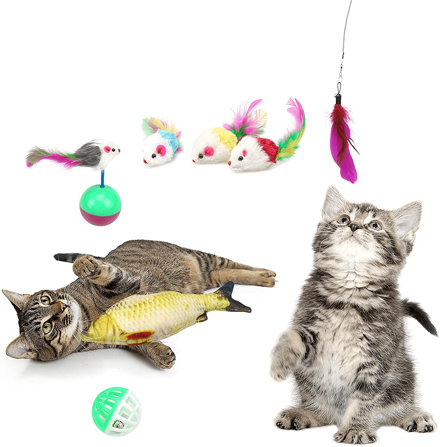 Weird cat shop toys