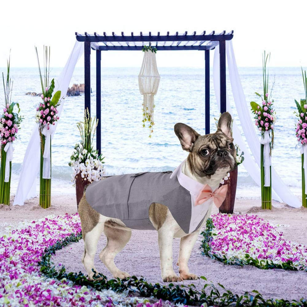 QBLEEV Dog Formal Tuxedo Suit for Medium Large Dogs，For Costume Wedding Party Outfit with Detachable Collar，Elegant Dog Apparel Bowtie Shirt and Bandana Set for Dress-Up Cosplay Holiday Wear Animals & Pet Supplies > Pet Supplies > Dog Supplies > Dog Apparel QBLEEV   