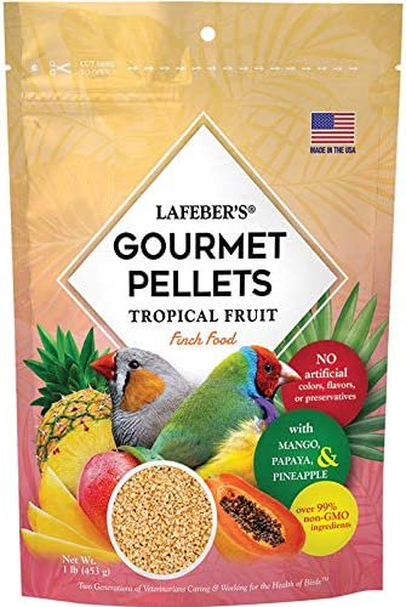 Lafeber Premium Daily Diet Pellets Pet Bird Food, Made with Non-Gmo and Human-Grade Ingredients, for Finches, 5 Lb Animals & Pet Supplies > Pet Supplies > Bird Supplies > Bird Food Lafeber Company Tropical Fruit 1 Pound (Pack of 1) 