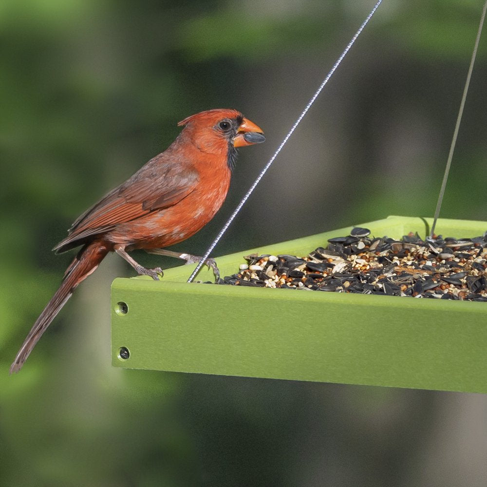 Audubon Park Songbird Supreme Wild Bird Food, 15 Lbs. Animals & Pet Supplies > Pet Supplies > Bird Supplies > Bird Food Global Harvest Foods Ltd.   