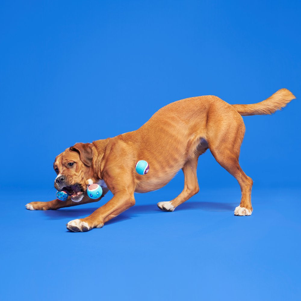 BARK Fetch of July - 3 Yankee Doodle Dog Tennis Ball Toys, Includes Squeakers, All Dog Sizes Animals & Pet Supplies > Pet Supplies > Dog Supplies > Dog Toys BARK   