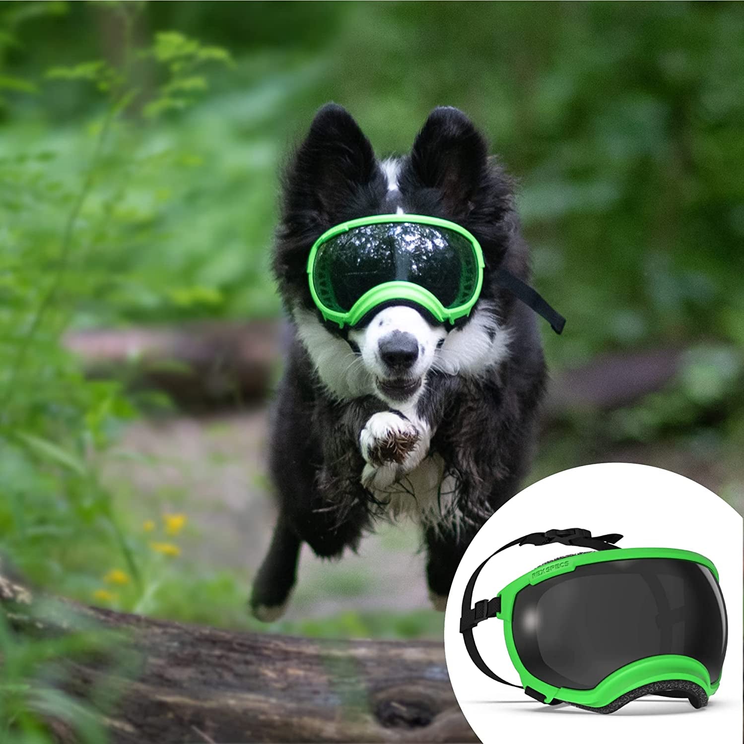 Rex Specs V2 Dog Goggles (Large, Tazer Teal) Animals & Pet Supplies > Pet Supplies > Dog Supplies > Dog Apparel Rex Specs Neon Green Small 