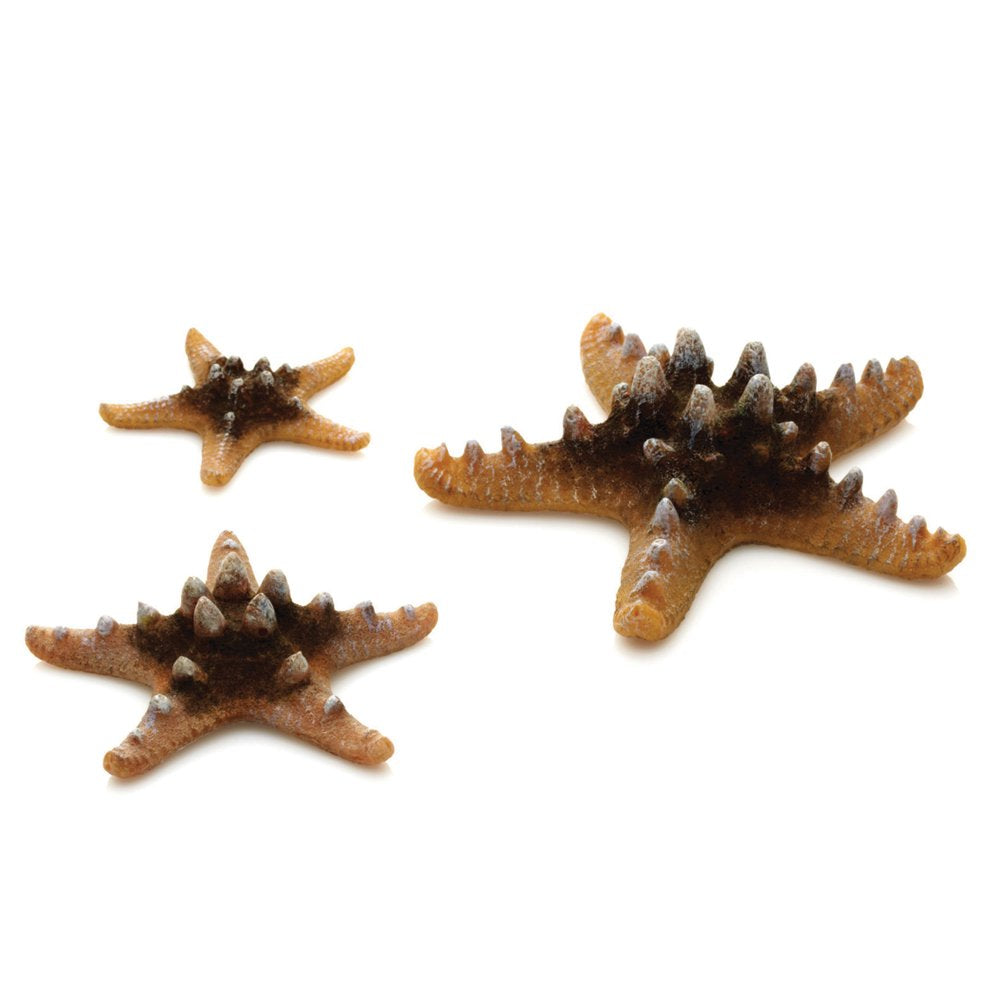 Biorb Aquarium Decor Starfish Set of 3, Ceramic, Yellow Animals & Pet Supplies > Pet Supplies > Fish Supplies > Aquarium Decor Oase Off-White  