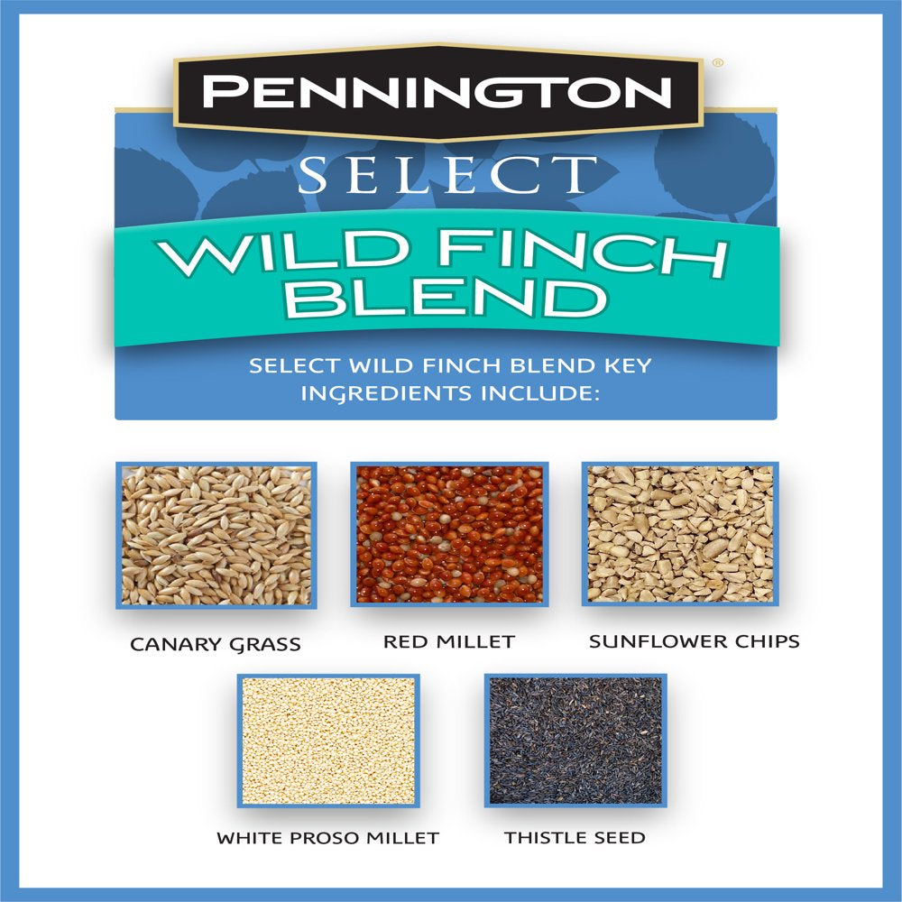 Pennington Select Wild Finch Blend, Wild Bird Seed and Feed, 10 Pounds Animals & Pet Supplies > Pet Supplies > Bird Supplies > Bird Food CENTRAL GARDEN & PET COMPANY   