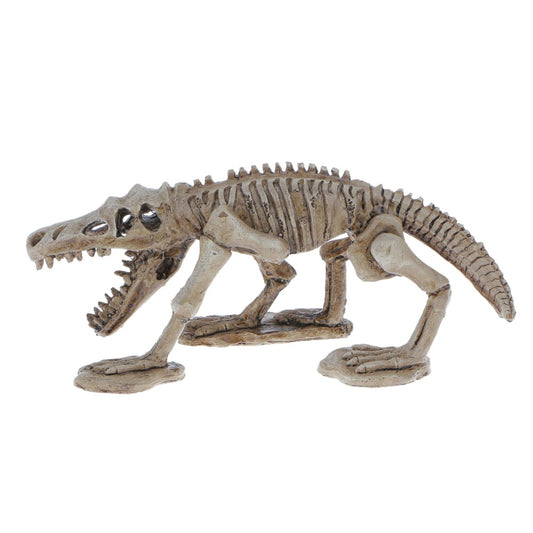 Resin Dinosaur Skeleton Ornaments for Reptile Amphibians Terrarium Vivarium Habitat Aquarium Landscape Decoration, Hideouts Hiding Places Animals & Pet Supplies > Pet Supplies > Small Animal Supplies > Small Animal Habitat Accessories perfk   