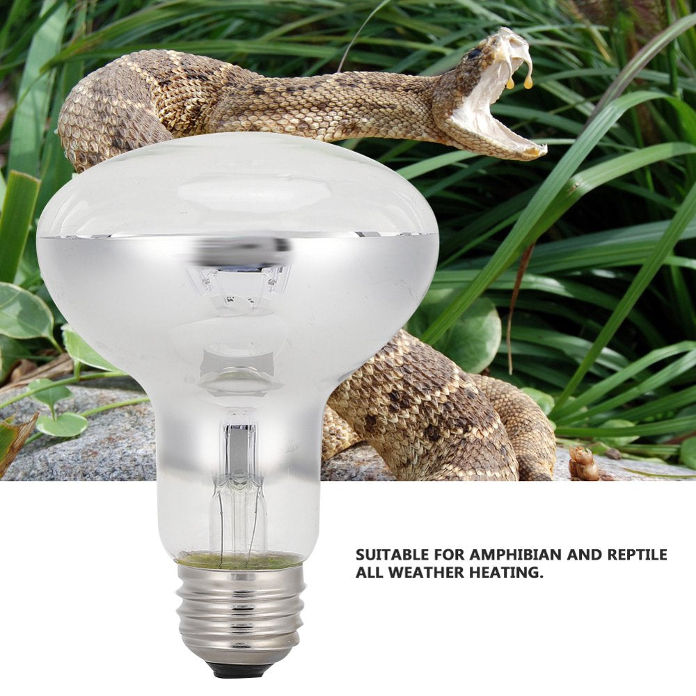 Heating Light Bulb Turtles Light Pet Warm Bulb Amphibian Light Terrarium Reptile Heat Bulb for Pet Tortoise/Lizard/Snake/Spider  Octpeak   