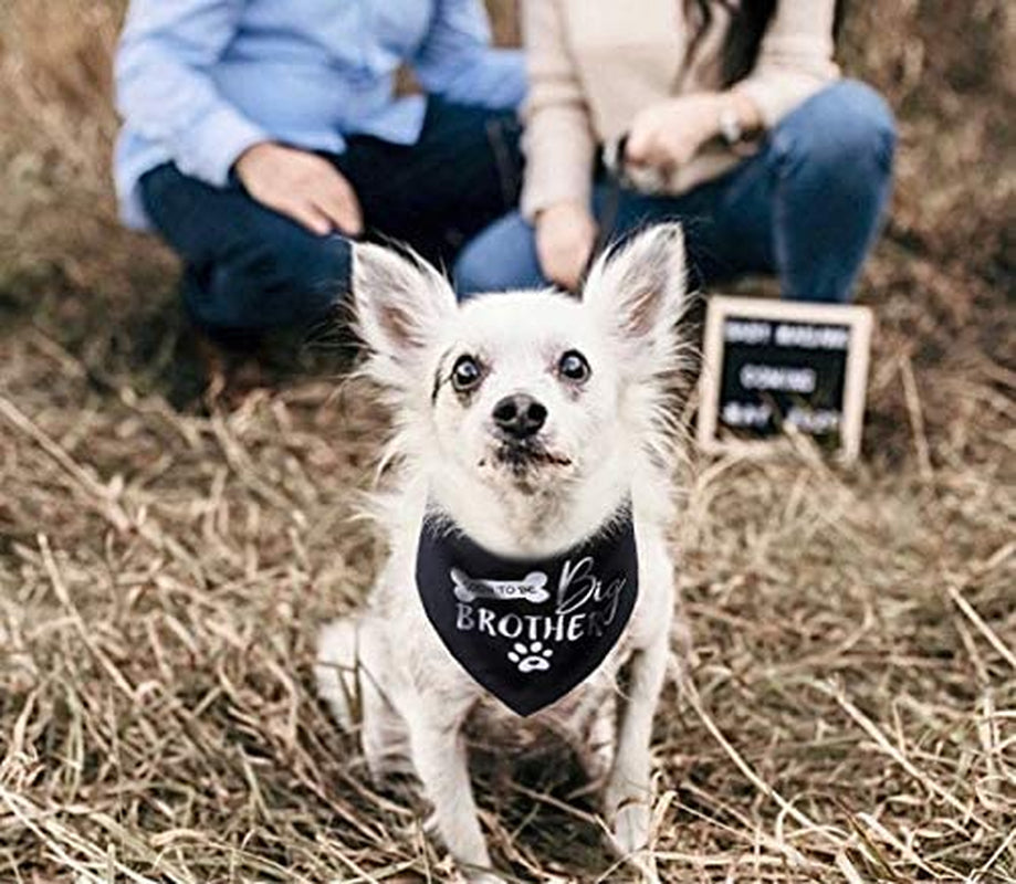 Big Brother Dog Bandana Reversible Triangle Bibs Pet Scarf Animals & Pet Supplies > Pet Supplies > Dog Supplies > Dog Apparel Pawskido   