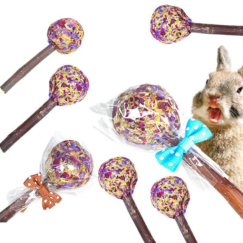 Rabbit Chewing Stick Natural 12PCS Lolly Shape Hamster Treats Bunny Molar Snack Animals & Pet Supplies > Pet Supplies > Small Animal Supplies > Small Animal Treats Coxeer   
